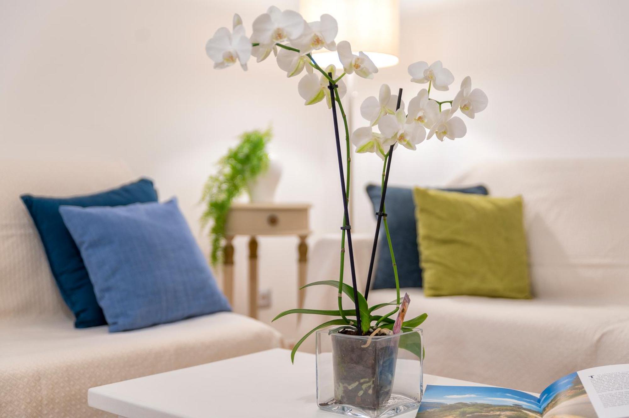 Casa Comoda A Due Passi Dal Lungomare Alghero Buitenkant foto